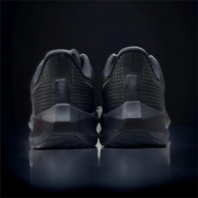 Giày Nike Air Zoom Pegasus 39 All Black