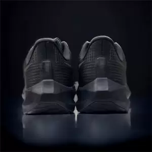 Giày Nike Pegasus 39 Black