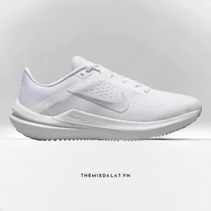 Giày Nike Winflo 10 'White Metallic Silver'