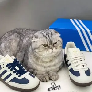 Giày Adidas Samba OG Night Indigo White